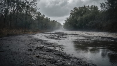 outdoors,sky,day,cloud,water,tree,no humans,cloudy sky,fire,nature,scenery,forest,reflection,road,river,fog,grey sky,overcast,monochrome,greyscale,landscape,lake