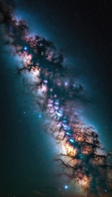 outdoors,sky,star (symbol),tree,no humans,night,glowing,cherry blossoms,star (sky),night sky,scenery,starry sky,branch,space,galaxy,milky way,1girl,solo