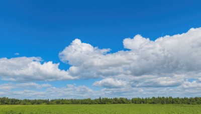 outdoors,sky,day,cloud,tree,blue sky,no humans,cloudy sky,grass,nature,scenery,forest,field,landscape,summer