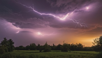 outdoors,sky,cloud,tree,no humans,cloudy sky,grass,nature,scenery,forest,sunset,electricity,lightning,landscape,purple sky,field