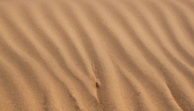 1girl,solo,1boy,monochrome,male focus,no humans,traditional media,close-up,sepia,brown theme