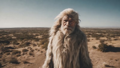 solo,looking at viewer,1boy,closed mouth,upper body,male focus,outdoors,sky,day,no humans,facial hair,animal,beard,realistic,sand,old,desert,white hair,blue sky,ocean,scar,beach,old man,wrinkled skin