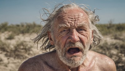 solo,looking at viewer,open mouth,blue eyes,1boy,upper body,white hair,grey hair,male focus,outdoors,sky,day,blurry,blue sky,depth of field,blurry background,facial hair,messy hair,portrait,beard,realistic,mustache,bald,old,old man,wrinkled skin,nude,floating hair,manly