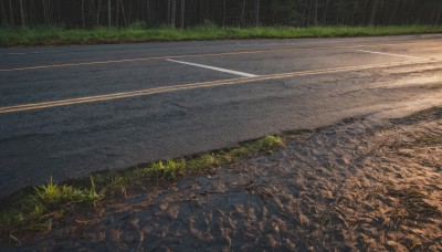 outdoors,no humans,grass,scenery,rain,road,signature,tree,night,nature,path