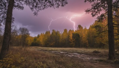 outdoors,sky,cloud,water,tree,no humans,cloudy sky,grass,nature,scenery,forest,rock,electricity,road,bush,lightning,landscape,path,sunset,mountain