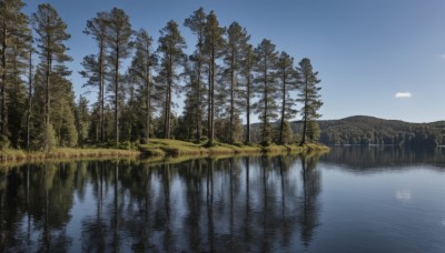 outdoors,sky,day,cloud,water,tree,blue sky,no humans,grass,nature,scenery,forest,reflection,river,landscape,lake,reflective water,plant