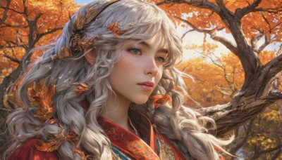 1girl,solo,long hair,bangs,blue eyes,hair ornament,upper body,braid,white hair,hairband,outdoors,parted lips,japanese clothes,day,twin braids,tree,lips,grey eyes,eyelashes,leaf,looking away,looking up,portrait,nature,freckles,realistic,nose,autumn leaves,looking afar,autumn,jewelry,grey hair,earrings,sky,kimono,sunlight,wind,forest,red kimono,maple leaf