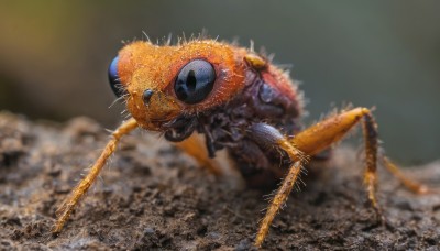 solo,teeth,blurry,no humans,blurry background,bug,robot,claws,spikes,science fiction,monster,city,realistic,alien,kaijuu,outdoors,depth of field,animal,animal focus,photo background,beetle