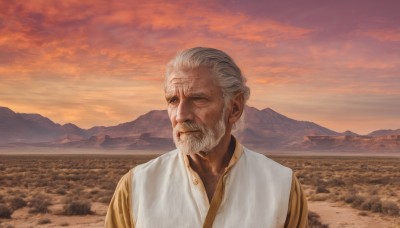 solo,1boy,closed mouth,upper body,white hair,grey hair,male focus,outdoors,one eye closed,sky,cloud,facial hair,scar,scenery,beard,sunset,mountain,realistic,mustache,manly,field,old,old man,grey eyes,cloudy sky,scar on face,scar across eye,mountainous horizon,wrinkled skin