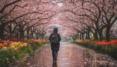 1girl, solo, long sleeves, holding, flower, boots, outdoors, day, hood, bag, from behind, black footwear, tree, coat, petals, umbrella, backpack, cherry blossoms, scenery, reflection, walking, rain, holding umbrella, road, transparent, street, puddle, path, transparent umbrella