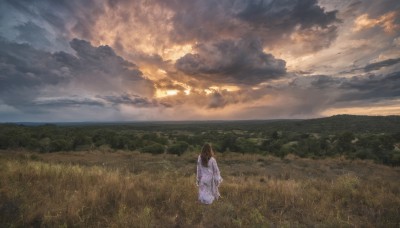 1girl,solo,long hair,brown hair,black hair,long sleeves,dress,standing,outdoors,japanese clothes,sky,cloud,kimono,from behind,cloudy sky,grass,nature,scenery,sunset,mountain,horizon,facing away,field,hill,sash,sunlight,yukata,landscape