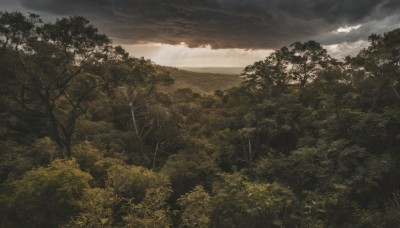 outdoors,sky,cloud,tree,no humans,sunlight,cloudy sky,grass,nature,scenery,forest,mountain,landscape,ocean,sunset,horizon,bush