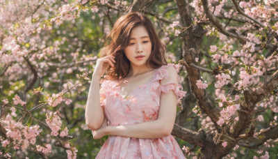 1girl, solo, long hair, looking at viewer, brown hair, dress, brown eyes, upper body, flower, outdoors, parted lips, day, hand up, blurry, tree, lips, blurry background, sunlight, cherry blossoms, pink dress, realistic, dappled sunlight