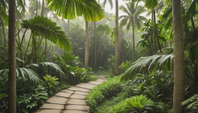 outdoors,day,tree,no humans,leaf,sunlight,grass,plant,nature,scenery,forest,palm tree,bush,green theme,foliage