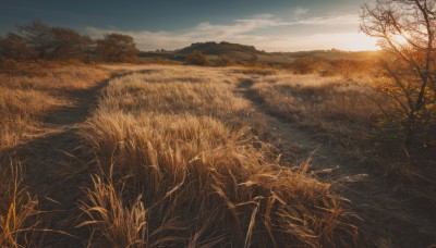 outdoors,sky,day,cloud,tree,blue sky,no humans,cloudy sky,grass,nature,scenery,forest,sunset,mountain,horizon,field,bare tree,landscape,mountainous horizon,sunlight,road