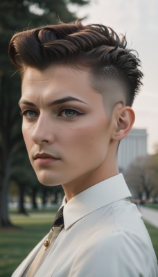 solo,looking at viewer,short hair,brown hair,shirt,black hair,1boy,jewelry,closed mouth,jacket,white shirt,upper body,male focus,earrings,outdoors,necktie,day,collared shirt,blurry,tree,lips,grey eyes,blurry background,piercing,formal,suit,portrait,black necktie,freckles,realistic,nose,stud earrings,undercut,pompadour,green eyes,artist name,expressionless