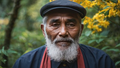 solo,looking at viewer,shirt,1boy,hat,upper body,white hair,grey hair,male focus,outdoors,day,collared shirt,blurry,black eyes,tree,black headwear,blurry background,facial hair,beret,thick eyebrows,blue shirt,portrait,beard,blue headwear,mature male,realistic,mustache,old,old man,wrinkled skin,brown eyes,closed mouth,jacket,flower,parted lips,signature,depth of field,nature,manly