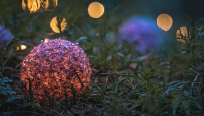 outdoors, sky, blurry, tree, no humans, night, depth of field, moon, grass, plant, nature, night sky, scenery, full moon