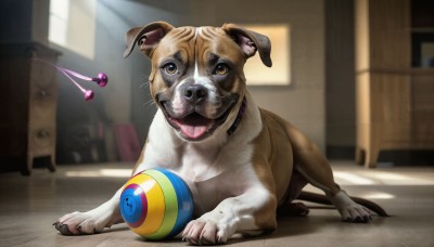 HQ,open mouth,brown eyes,teeth,tongue,indoors,tongue out,blurry,collar,no humans,animal,ball,dog,realistic,door,animal focus,horror (theme),solo,looking at viewer,standing,full body,window,sunlight,claws,animal collar,playing