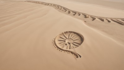 monochrome,outdoors,no humans,beach,scenery,sand,sepia,brown theme,still life,desert,simple background,animal,shell