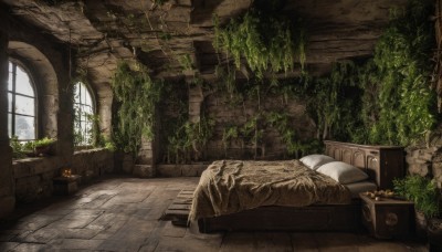 day,indoors,tree,pillow,no humans,window,bed,table,sunlight,plant,scenery,couch,wooden floor,potted plant,ruins,vines,moss,overgrown,flower,food