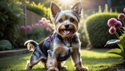 HQ,solo,open mouth,blue eyes,full body,flower,outdoors,day,tongue,tongue out,blurry,collar,no humans,depth of field,blurry background,animal,fangs,sunlight,cat,grass,plant,pink flower,lens flare,dog,light rays,realistic,leash,fence,animal focus,looking at viewer,ribbon,standing,signature,pokemon (creature),watermark,bush,animal collar