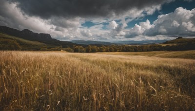 outdoors,sky,day,cloud,blue sky,no humans,bird,cloudy sky,grass,nature,scenery,mountain,field,landscape,mountainous horizon,hill