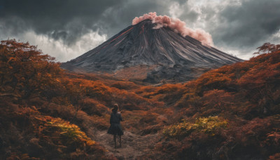 1girl, solo, long hair, standing, outdoors, sky, cloud, tree, cloudy sky, nature, scenery, mountain, landscape