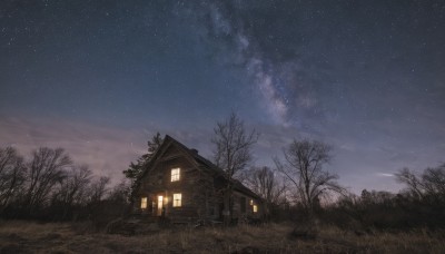 outdoors,sky,cloud,tree,no humans,window,night,grass,building,star (sky),nature,night sky,scenery,forest,starry sky,door,house,bare tree,lantern,path