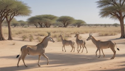 outdoors,sky,day,tree,blue sky,no humans,shadow,animal,grass,scenery,walking,animal focus,desert,deer,nature,realistic,sand,palm tree,antlers