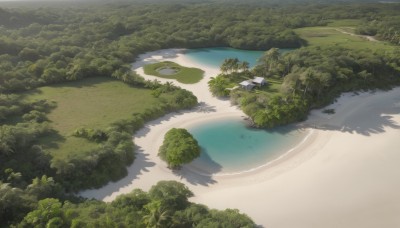 outdoors,day,water,tree,no humans,shadow,grass,nature,scenery,forest,road,bush,river,landscape,lake,path,ocean,beach,sand,shore,island