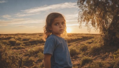 1girl,solo,looking at viewer,blue eyes,brown hair,shirt,brown eyes,closed mouth,upper body,short sleeves,outdoors,sky,cloud,medium hair,tree,lips,expressionless,sunlight,cloudy sky,grass,blue shirt,child,nature,scenery,backlighting,sunset,mountain,realistic,sun,field,short hair,blonde hair,1boy,male focus,day,signature,aged down