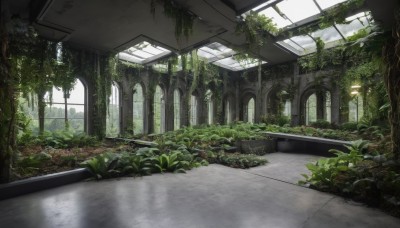 outdoors,day,indoors,water,tree,no humans,window,sunlight,plant,scenery,reflection,ruins,vines,pillar,arch,moss,overgrown,broken window,grass