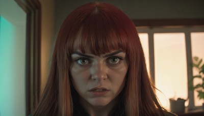 1girl,solo,long hair,looking at viewer,bangs,brown hair,brown eyes,parted lips,teeth,artist name,indoors,blunt bangs,orange hair,blurry,lips,eyelashes,window,depth of field,blurry background,plant,portrait,backlighting,freckles,realistic,nose,potted plant,open mouth,angry