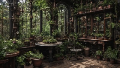 flower,outdoors,day,indoors,tree,dutch angle,no humans,window,chair,table,sunlight,plant,nature,scenery,clock,potted plant,vines,overgrown,wooden floor,fantasy,door,stool,shelf,loaded interior