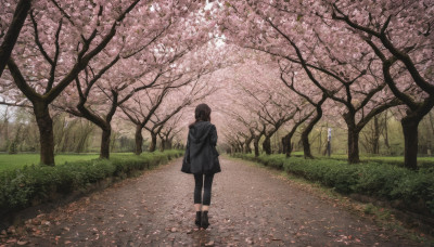 1girl, solo, short hair, brown hair, standing, jacket, boots, outdoors, pants, hood, from behind, black footwear, tree, black pants, hood down, grass, cherry blossoms, scenery, walking, facing away, road, path