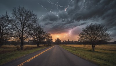 outdoors,sky,cloud,tree,no humans,cloudy sky,grass,nature,scenery,sunset,electricity,road,bare tree,lightning,path,field,landscape