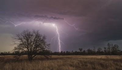 outdoors,sky,cloud,tree,no humans,cloudy sky,grass,nature,scenery,forest,electricity,field,bare tree,lightning,landscape,horizon,overcast