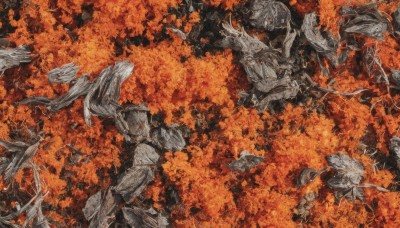 holding,weapon,lying,wings,sword,armor,tree,no humans,bird,leaf,traditional media,nature,scenery,autumn leaves,autumn,orange theme,outdoors,from above,branch