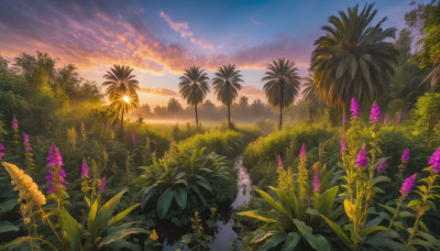 flower, outdoors, sky, cloud, tree, no humans, grass, plant, nature, scenery, sunset