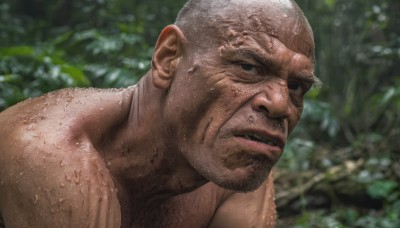 solo,looking at viewer,1boy,closed mouth,male focus,outdoors,day,dark skin,water,blurry,black eyes,lips,wet,blurry background,facial hair,dark-skinned male,portrait,nature,realistic,bald,manly,old,dirty,old man,short hair,upper body,muscular,muscular male,beard,close-up