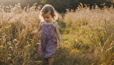 1girl,solo,short hair,brown hair,dress,closed mouth,standing,grey hair,outdoors,sleeveless,blurry,blood,sleeveless dress,depth of field,blurry background,feet out of frame,blue dress,grass,child,walking,realistic,female child,field,bare shoulders,closed eyes,looking down