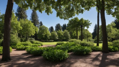 outdoors,sky,day,cloud,tree,blue sky,no humans,shadow,sunlight,grass,plant,nature,scenery,forest,road,bush,shade,path