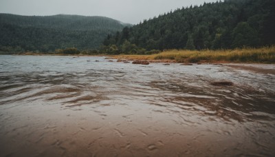 outdoors,sky,day,tree,no humans,grass,nature,scenery,forest,mountain,road,river,landscape,grey sky,water,snow,winter