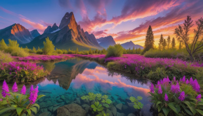 flower, outdoors, sky, cloud, water, tree, no humans, cloudy sky, grass, nature, scenery, reflection, sunset, mountain, purple flower, landscape, lake