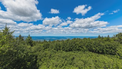 outdoors,sky,day,cloud,water,tree,blue sky,no humans,ocean,cloudy sky,grass,plant,nature,scenery,forest,horizon,landscape