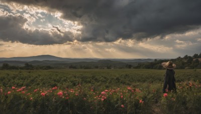 1girl,solo,black hair,hat,dress,standing,flower,outdoors,sky,day,cloud,from behind,black dress,tree,sunlight,cloudy sky,grass,red flower,nature,scenery,sun hat,mountain,straw hat,facing away,field,wide shot,flower field,landscape,long hair