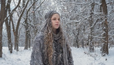 1girl,solo,long hair,blonde hair,brown hair,upper body,outdoors,solo focus,armor,tree,lips,coat,wavy hair,nature,scenery,snow,forest,snowing,realistic,winter clothes,winter,bare tree,scarf,looking up,curly hair,fantasy,looking afar