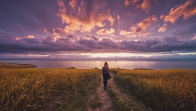 1girl,solo,long hair,brown hair,standing,outdoors,japanese clothes,sky,cloud,water,bag,from behind,sunlight,cloudy sky,grass,scenery,reflection,walking,sunset,horizon,facing away,field,wide shot,twilight,evening,pants,ocean,backpack,landscape,path