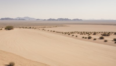 outdoors,sky,day,tree,no humans,beach,nature,scenery,mountain,sand,landscape,mountainous horizon,shore,desert,footprints,water,ocean,grass,rock